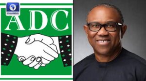 Read more about the article Peter Obi’s Coalition Talks Falter Amid ADC Warning