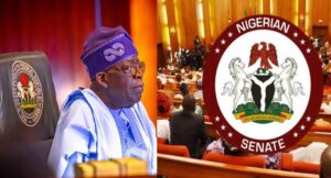 Read more about the article Senate Approves $21 Billion Foreign Loan For Tinubu