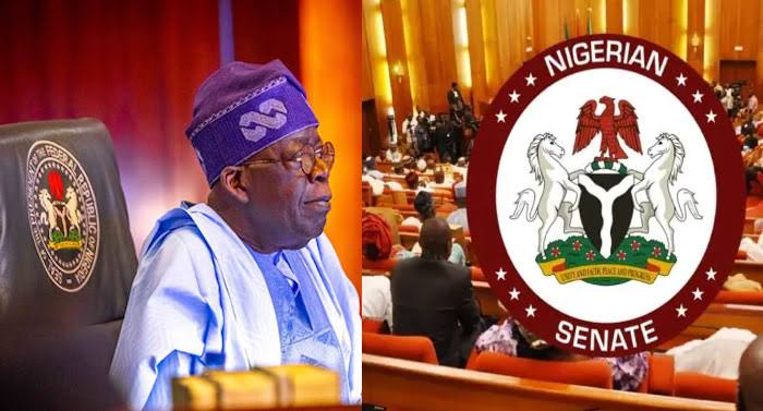 Read more about the article Tinubu Seeks $347 Million Loan For Lagos-Calabar Highway, Telecom Projects