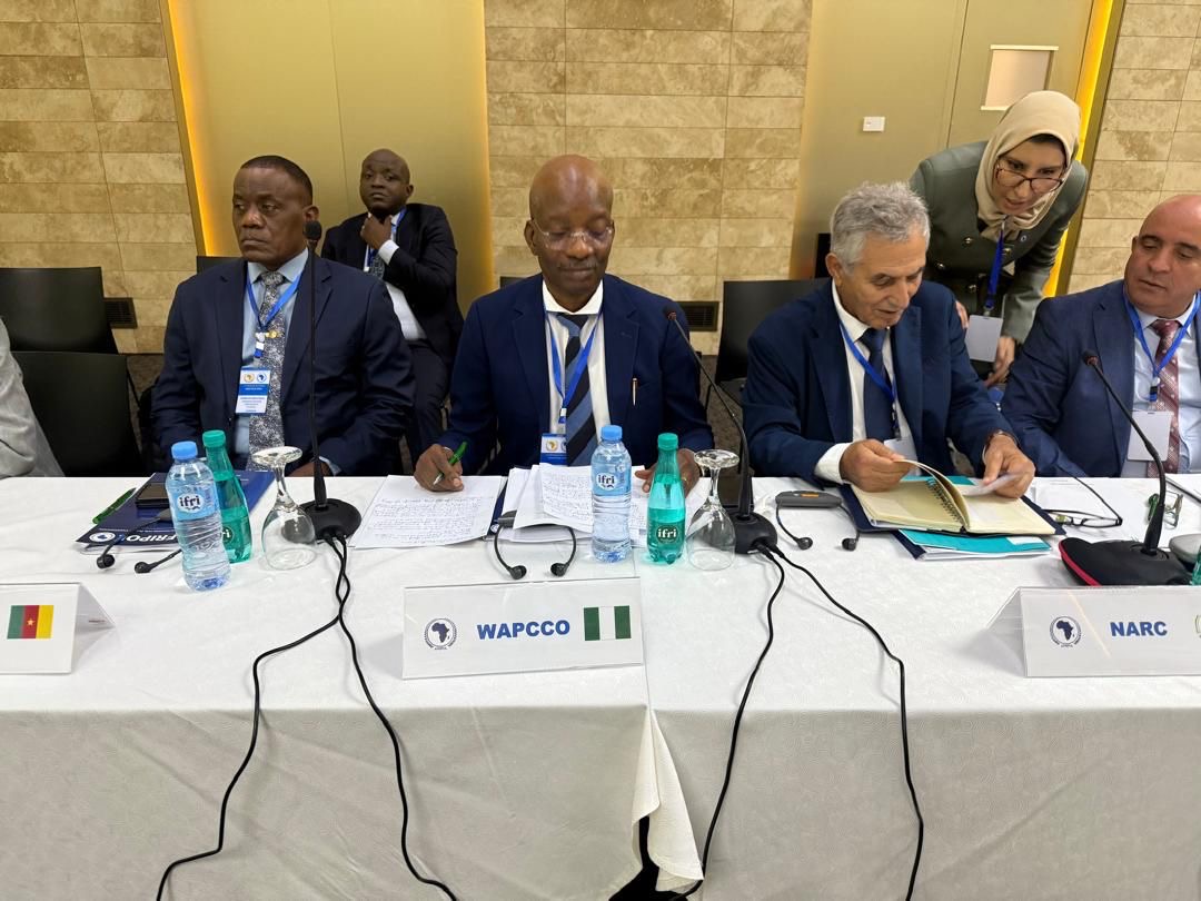 Read more about the article Nigeria Leads Continental Security Talks at AFRIPOL Summit in Algiers