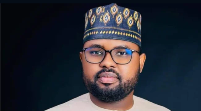 Read more about the article Tinubu names former local government chairman CEO of NERC