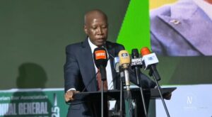 Read more about the article Malema urges Africa to unite against neo-colonialism