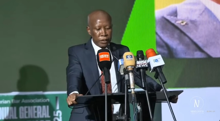 Read more about the article Malema urges Africa to unite against neo-colonialism