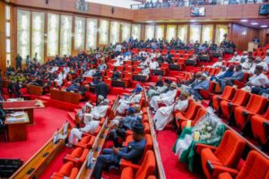 Read more about the article Senate asks LGAs to tap into capital market