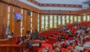 Read more about the article State police bill scales second reading in senate amid constitutional scrutiny