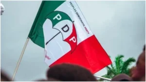Read more about the article PDP calls for six-month delay in tax laws implementation over alleged discrepancies
