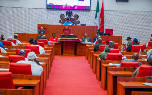 Read more about the article Senate reviews 2025 budget, cuts spending plan to N43.56trn