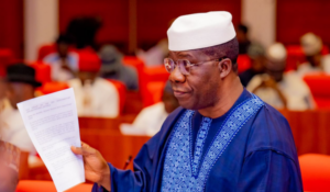 Read more about the article Nigeria not ready for real-time upload of election results – Opeyemi Bamidele