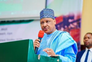 Read more about the article Jos killings perpetrated by criminals in conflict-prone area – Mohammed Idris