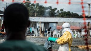 Read more about the article WHO declares Ebola outbreak in DRC and Uganda a global health emergency