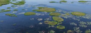 Read more about the article Chadian air strikes on Lake Chad leave dozens of Nigerian fishermen feared dead