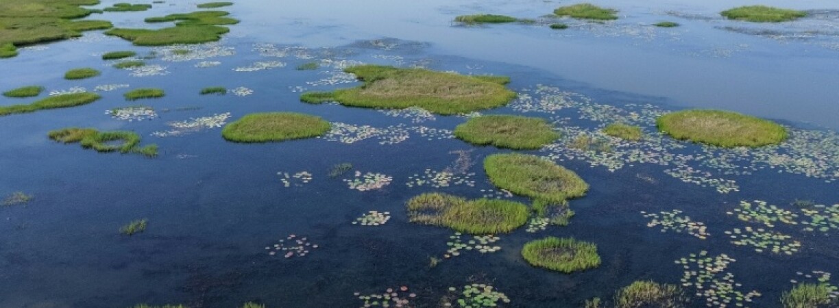You are currently viewing Chadian air strikes on Lake Chad leave dozens of Nigerian fishermen feared dead