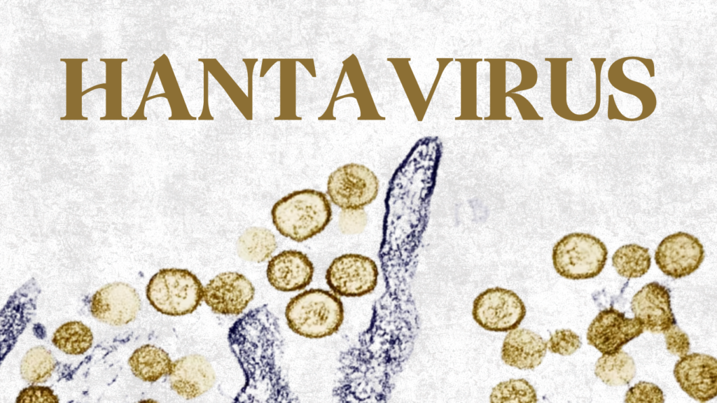 EXPLAINER: What is Hantavirus and should Nigerians be concerned?