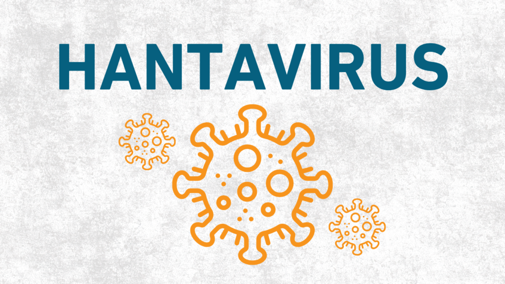 WHO launches emergency response after three die from suspected Hantavirus on cruise ship