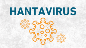 WHO launches emergency response after three die from suspected Hantavirus on cruise ship
