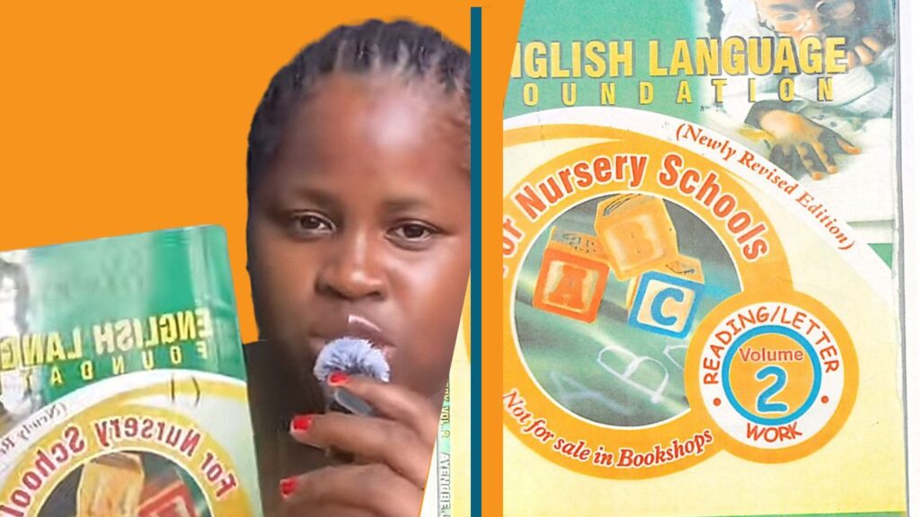 ANALYSIS: What the Lagos textbook dispute reveals about education standards and online criticism