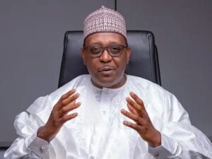Read more about the article FG approves N32.8bn healthcare fund for states, says 8,000 PHCs now receive direct financing