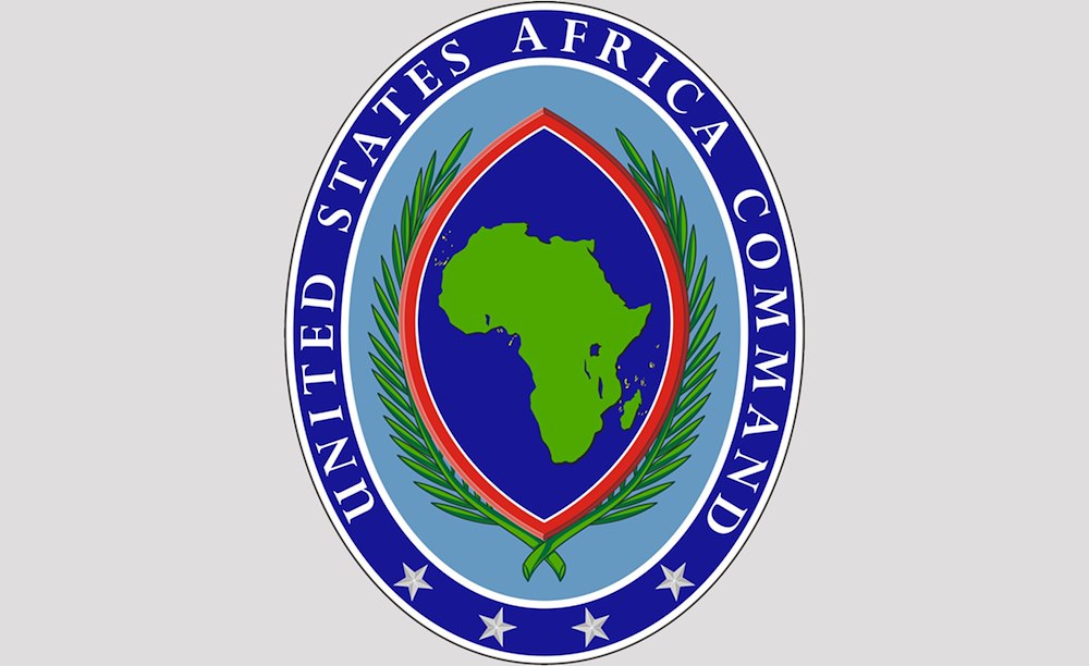 Read more about the article US-Nigeria air strike eliminates 21 ISWAP fighters in Borno offensive