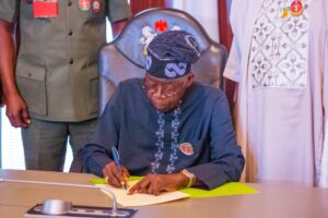 Read more about the article Tinubu names Fayose REA board chairman in 26 appointments