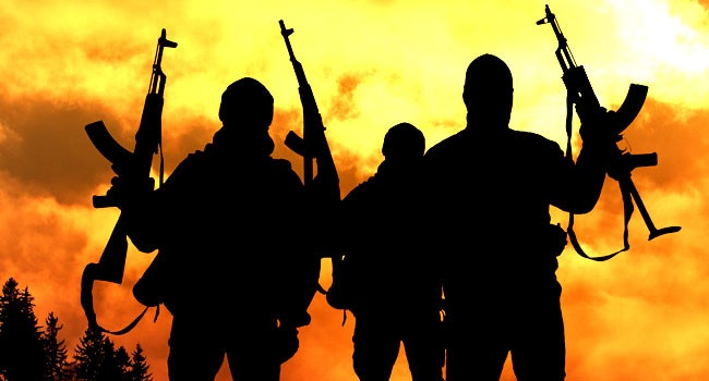 Read more about the article Bandits abduct Kebbi high court judge from residence