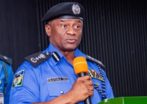 Read more about the article State Police will bring security closer to Nigerians, says Inspector-General Disu
