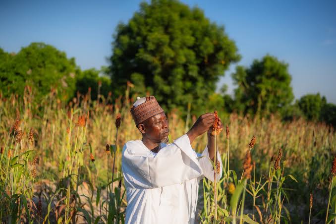 Rural development