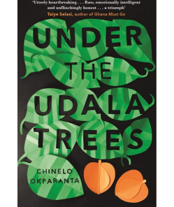 Nigerian novels