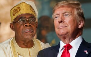 Read more about the article Trump commends Tinubu over Nigeria’s fight against terrorism