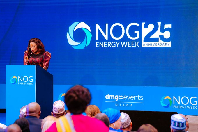 Read more about the article Verheijen outlines measures to make cooking gas affordable in Nigeria