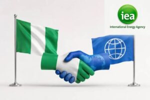 Read more about the article Nigeria joins IEA in fastest accession in agency’s 52-Year history