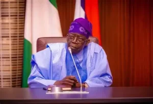 Read more about the article Tinubu orders forensic audit of IPPIS, Federal agencies over ghost workers