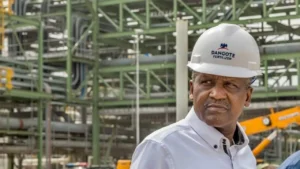 Read more about the article Dangote Refinery IPO: Minimum subscription set at N5,250