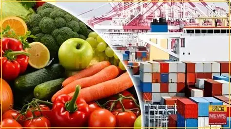 Exports