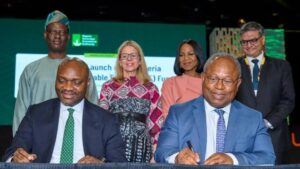 Read more about the article Nigeria launches $300m fund to scale off-grid renewable energy