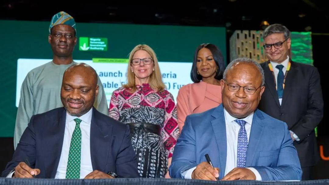 You are currently viewing Nigeria launches $300m fund to scale off-grid renewable energy
