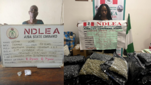Read more about the article NDLEA re-arrests 83-year-old convicted grandma, South African lady, seizes tonnes of drugs