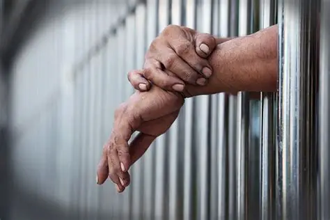 You are currently viewing Court jails Aba Businessman five years for producing fake Goya Olive Oil