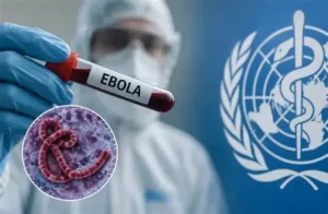 Read more about the article NCDC raises Ebola vigilance as Kenya confirms imported case