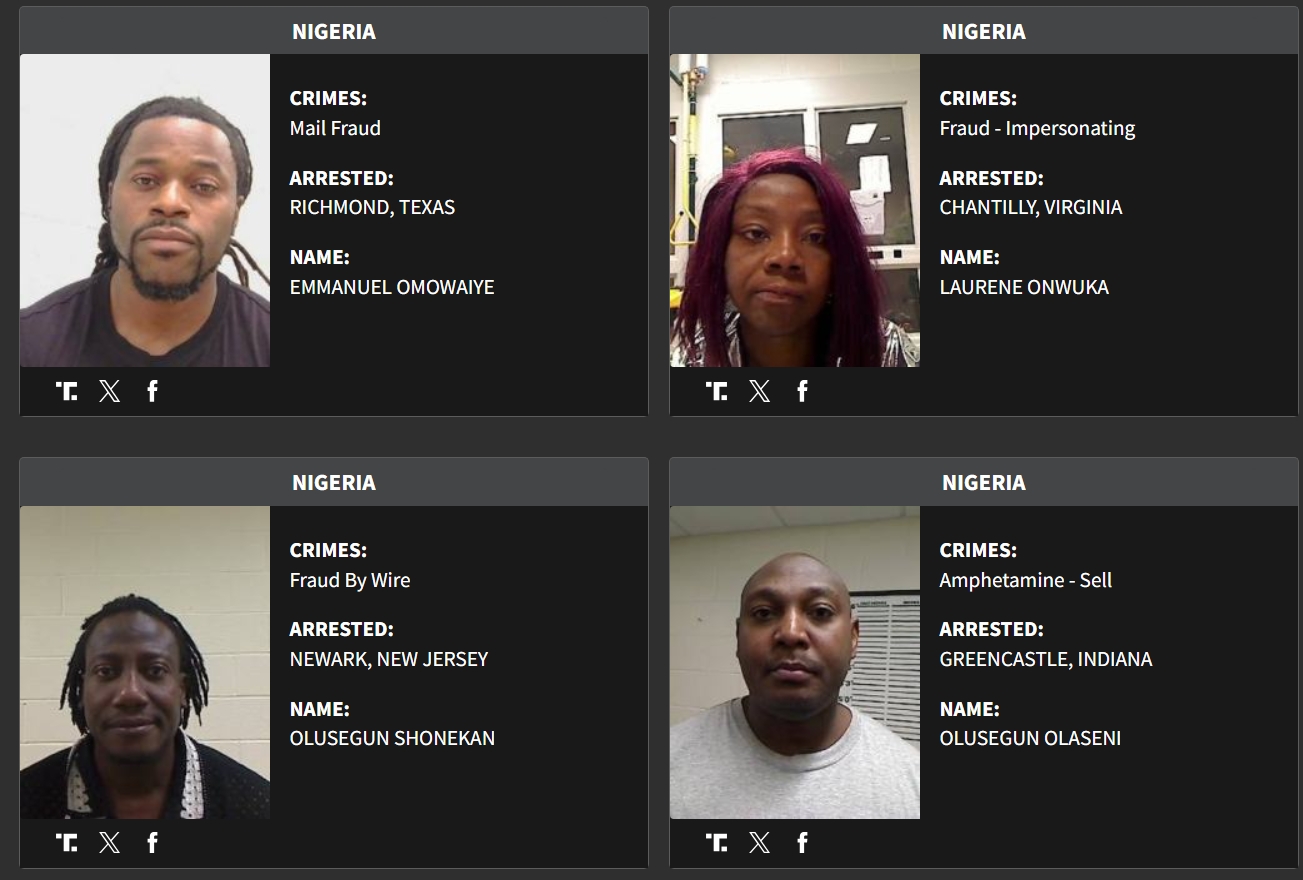 You are currently viewing DHS names 24 Nigerians arrested in ICE crackdown over alleged fraud, laundering