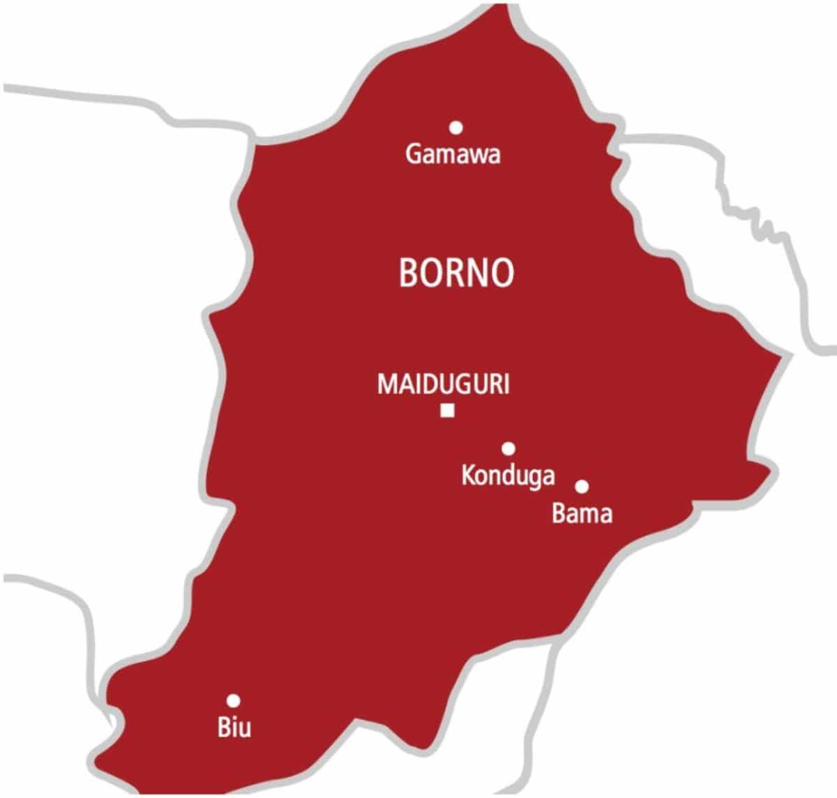 You are currently viewing Eight soldiers killed as suspected ISWAP landmine hits patrol in Borno